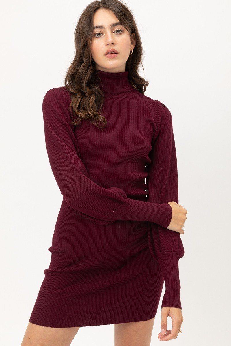 Turtle Neck Sweater Dress - bulkybox