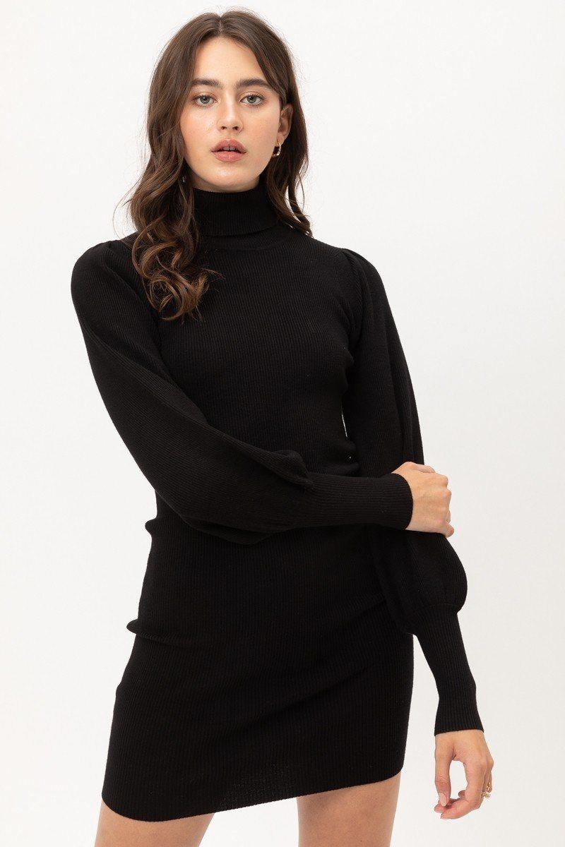 Turtle Neck Sweater Dress - bulkybox